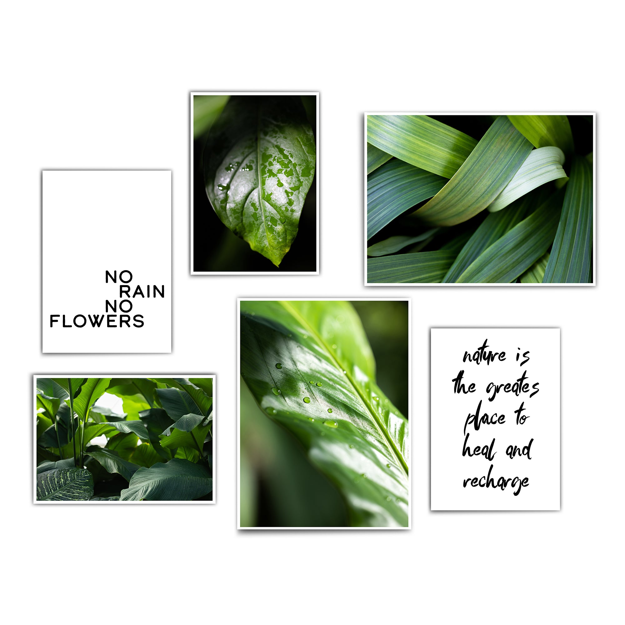 4one-pictures-6er-Set-Poster-Bilder-Natur-Pflanzen-Wohnzimmer-gruen-spruch-bilder.jpg