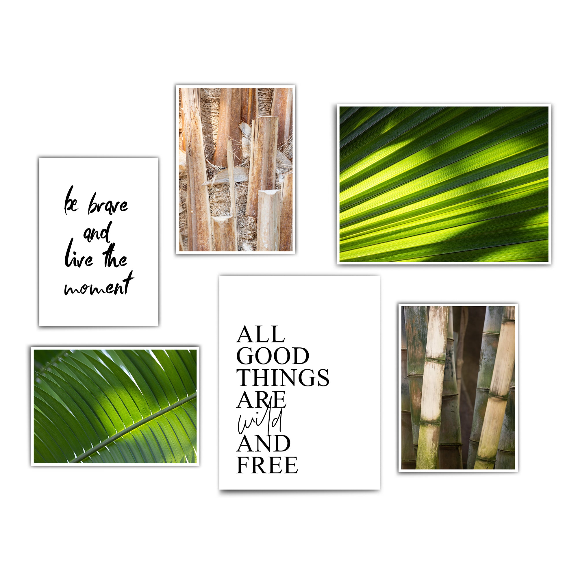 4one-pictures-6er-Set-Poster-Bilder-Natur-Pflanzen-Wohnzimmer-palmen-braun-gruen-spruch-bilder.jpg