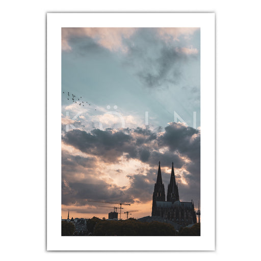 Poster mit weißen Rand und Köln Motiv. Kölner Dom bei bewölken Himmel zum Sonnenuntergang. Köln Schriftzug in den Wolken eingebaut. Papageien über dem Dom.