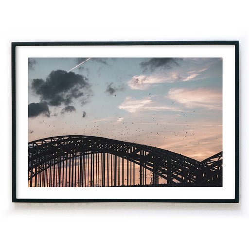 Wandbild im Querformat im schwarzen Bilderrahmen mit Köln Motiv. Vögel über der Hohenzollernbrücke im Sonnenuntergang. Weißer umlaufender Rand.