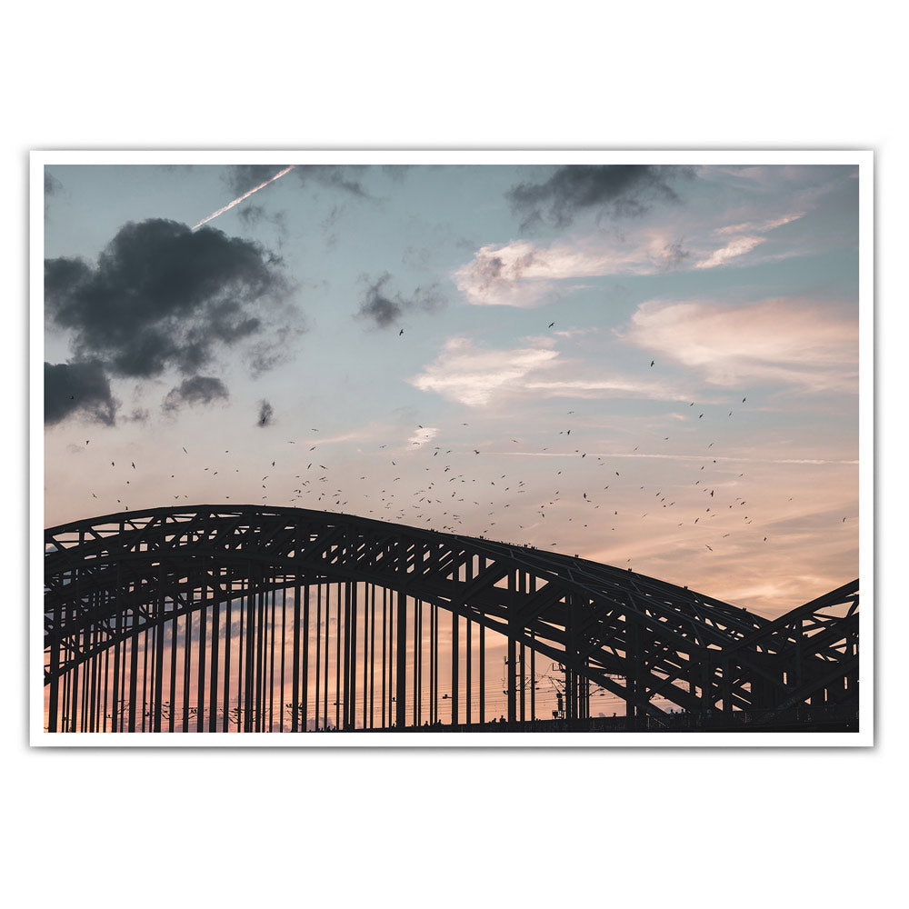 Wandbild im Querformat mit Köln Motiv. Vögel über der Hohenzollernbrücke im Sonnenuntergang.