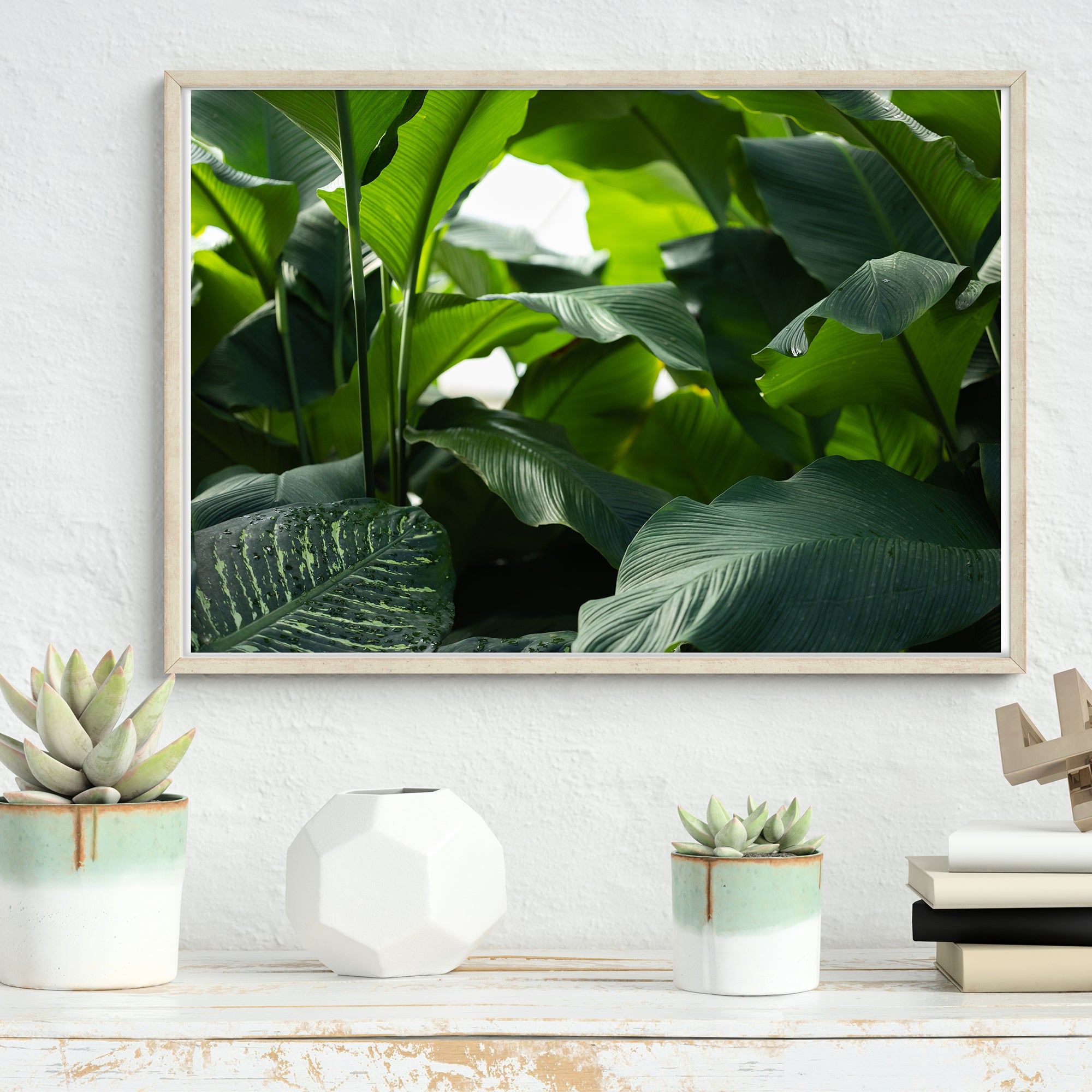 Pflanzen Poster | Natur Wanddeko im Querformat – 4one Pictures | Poster