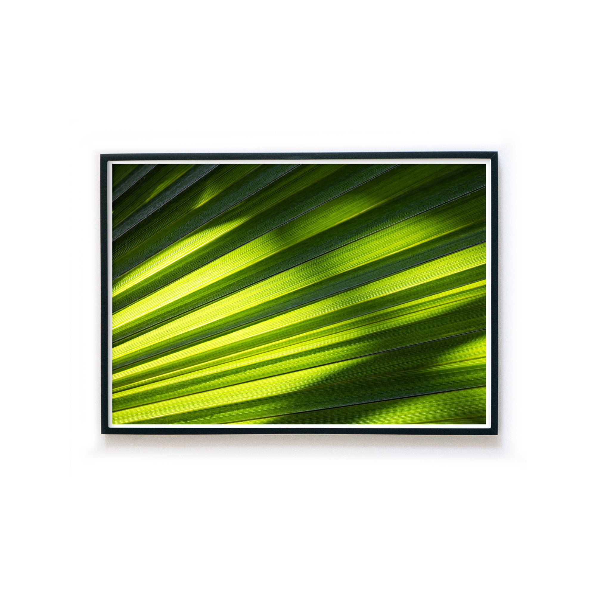 4one-pictures-natur-poster-gruen-pflanzen-wohnzimmer-blatt-palme-bilderrahmen.jpg