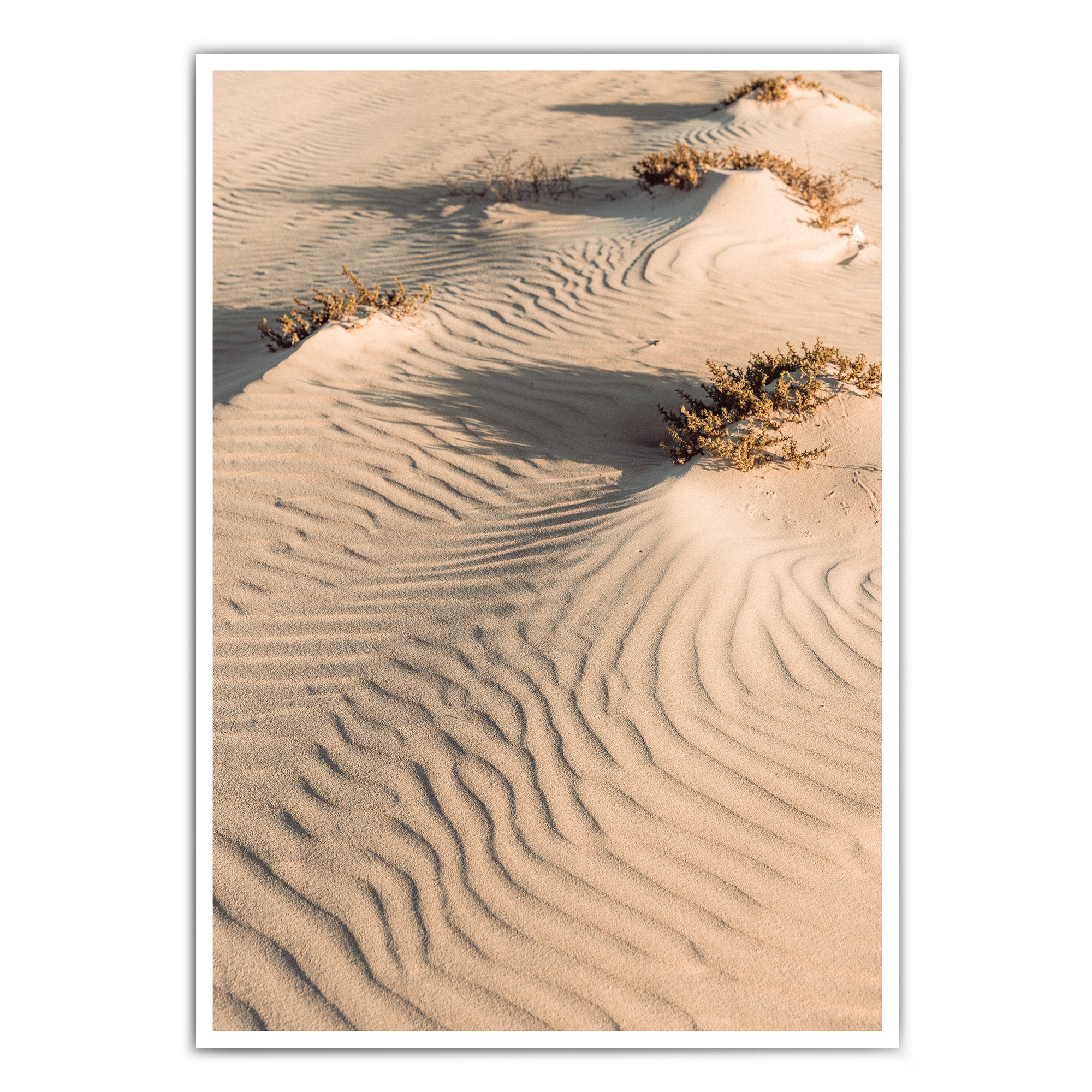 4one-pictures-poster-natur-strand-beach-sand-boho-beige-bild-kunstdruck-print-1.jpg