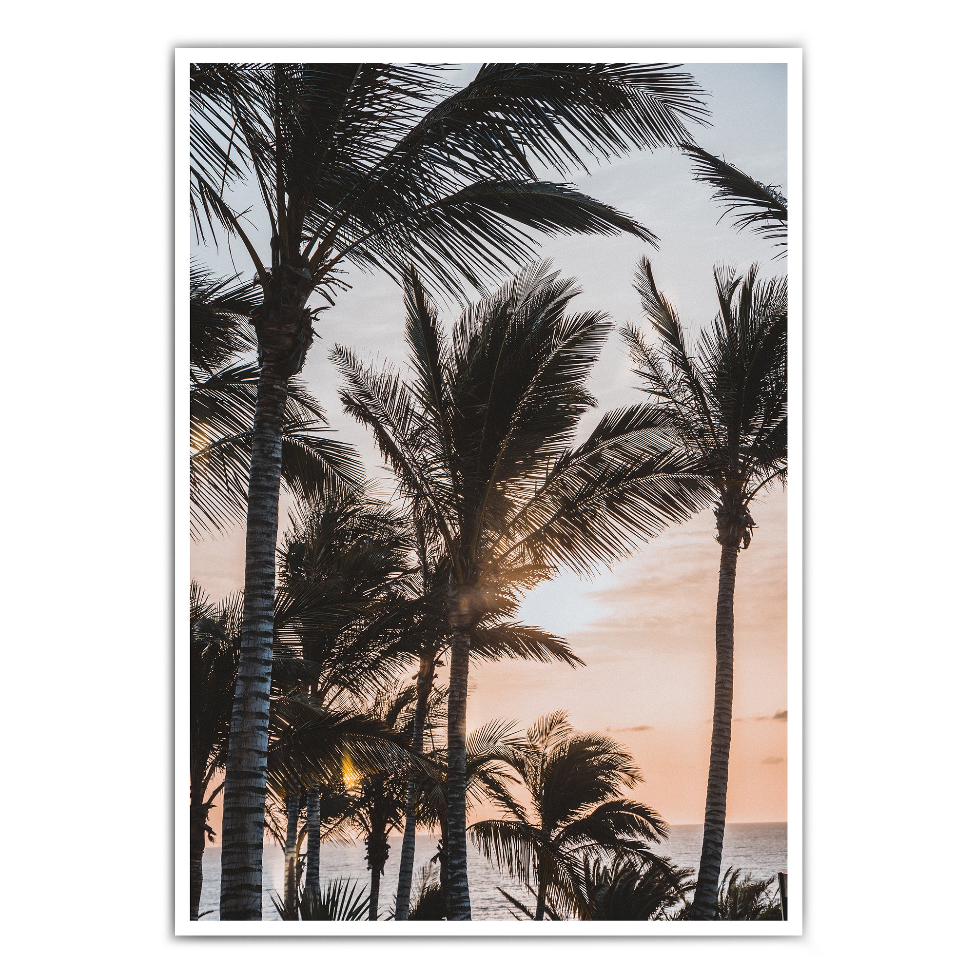4one-pictures-poster-strand-meer-palmen-pflanzen-plants-sommer-urlaub-natur-bild.jpg