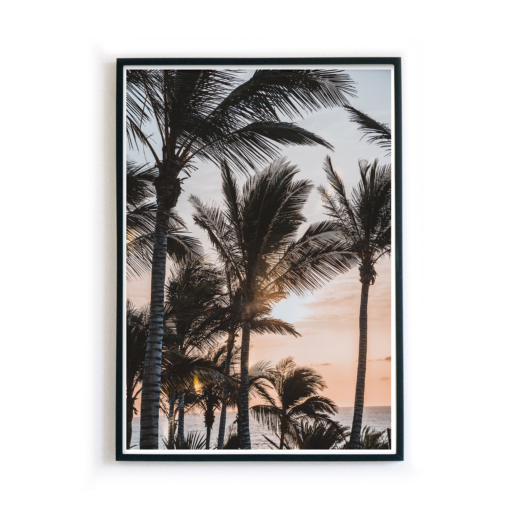 4one-pictures-poster-strand-meer-palmen-pflanzen-plants-sommer-urlaub-natur-bilderrahmen.jpg