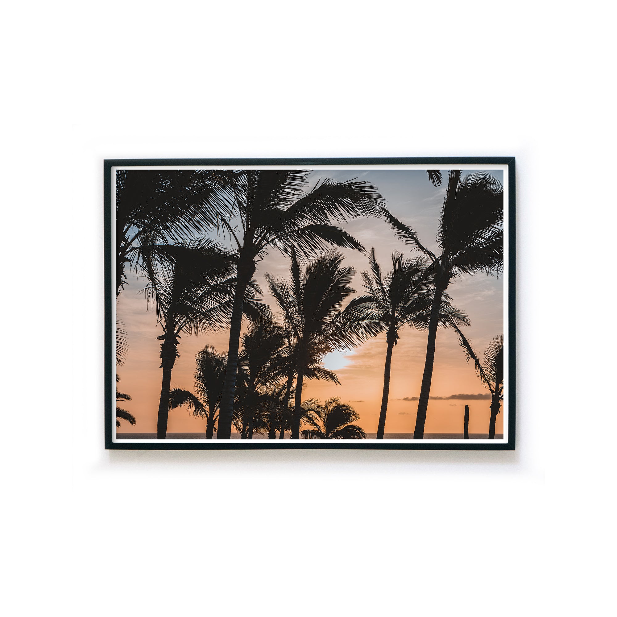 4one-pictures-poster-strand-meer-palmen-pflanzen-plants-sommer-urlaub-retro-sunset-natur-bilderrahmen.jpg