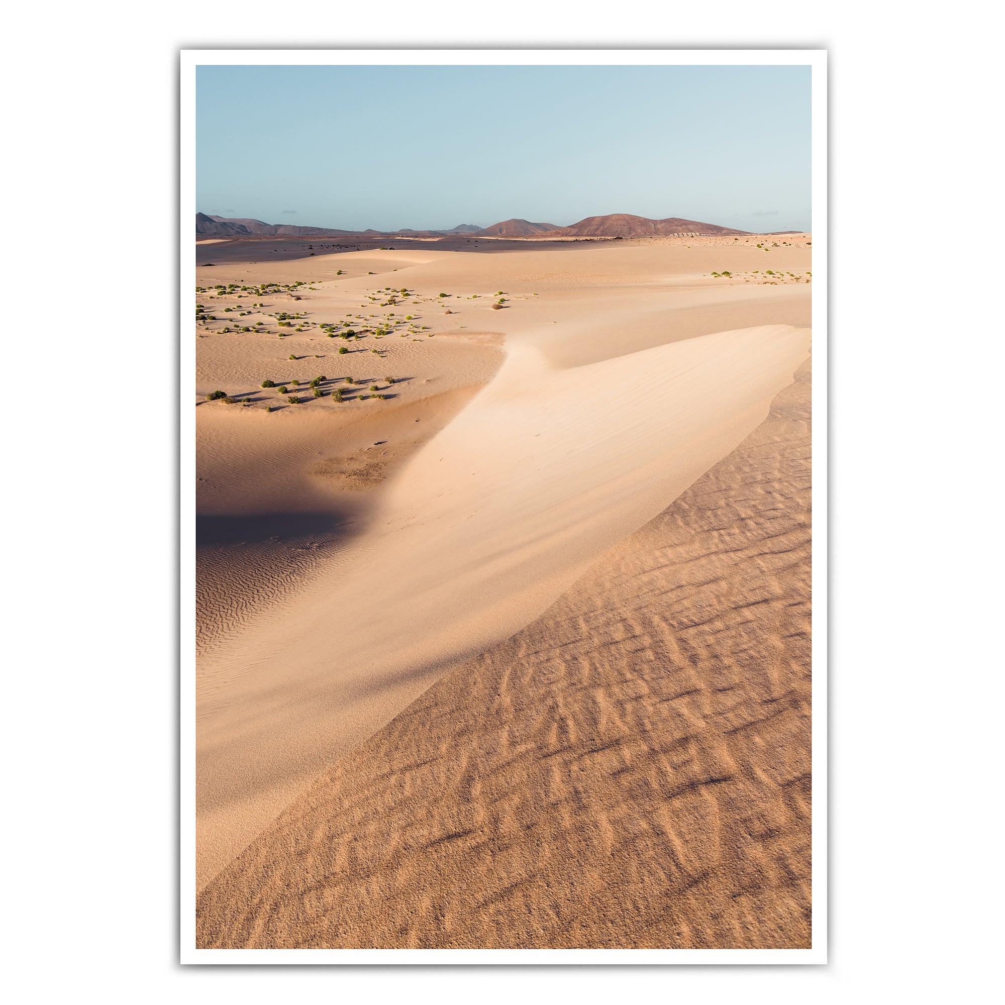 Wüsten Bild