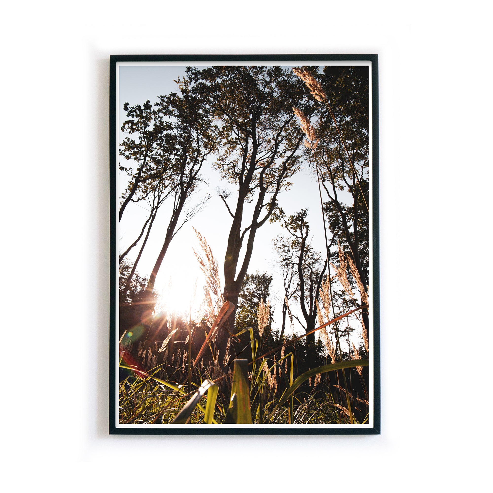 Natur Poster - Wald & See Bilder für dein Wohnzimmer – 4one Pictures