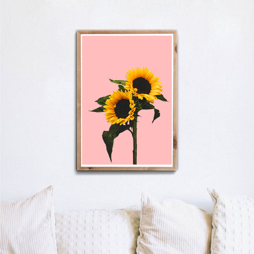 Rosa Sonnenblumen Bild