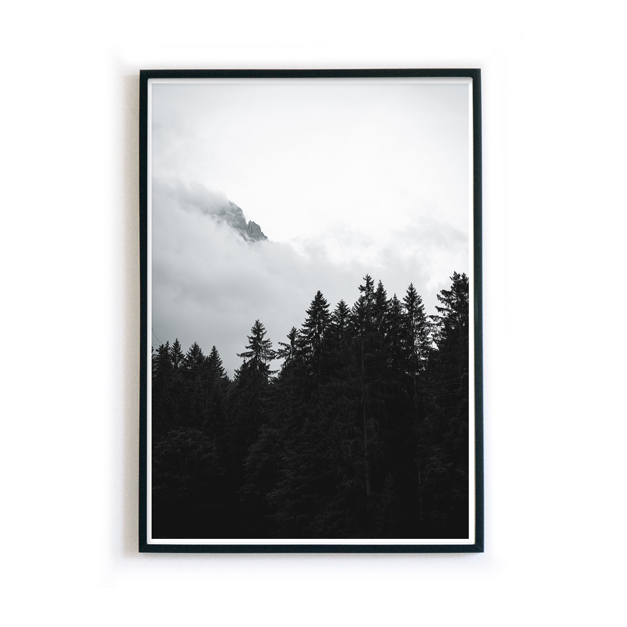 Natur Poster Schwarz Weiß - Wohnzimmer Wald Bild – 4one Pictures