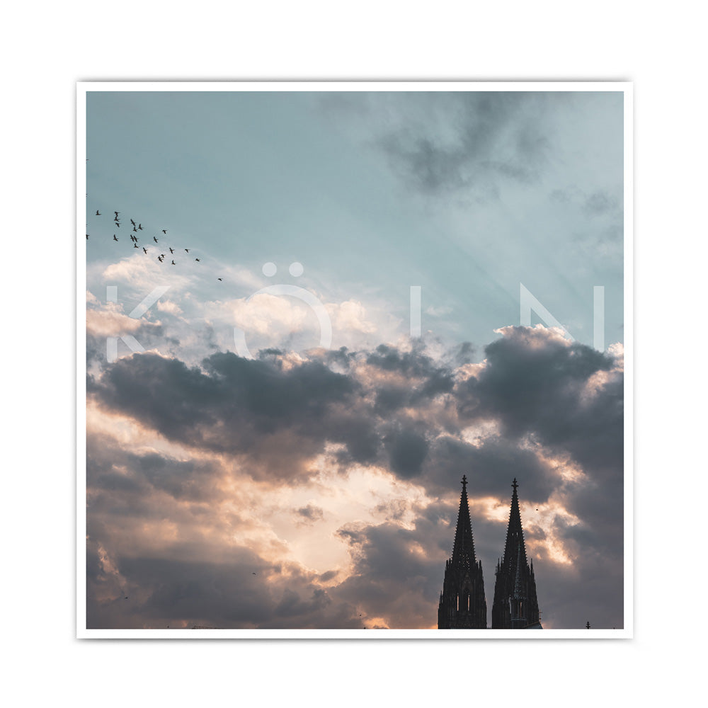 Poster mit Köln Motiv, Quadratisch. Kölner Dom bei bewölken Himmel zum Sonnenuntergang. Köln Schriftzug in den Wolken eingebaut. Papageien über dem Dom.