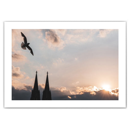 Möwe über den Türmen vom Kölner Dom. Die letzten Sonnenstrahlen hinter dem bewölkten Himmel. Poster im Querformat mit umlaufenden Rand.