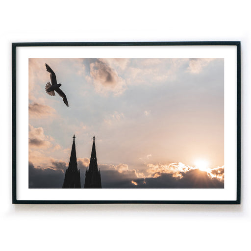 Möwe über den Türmen vom Kölner Dom. Die letzten Sonnenstrahlen hinter dem bewölkten Himmel. Poster im Querformat mit weißen Rand im Bilderrahmen.