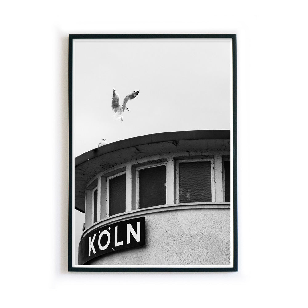 Bilderrahmen mit Köln Poster in schwarz weiß mit einer Möwe die auf einer Säule, mit einem Köln Schriftzug, landet.