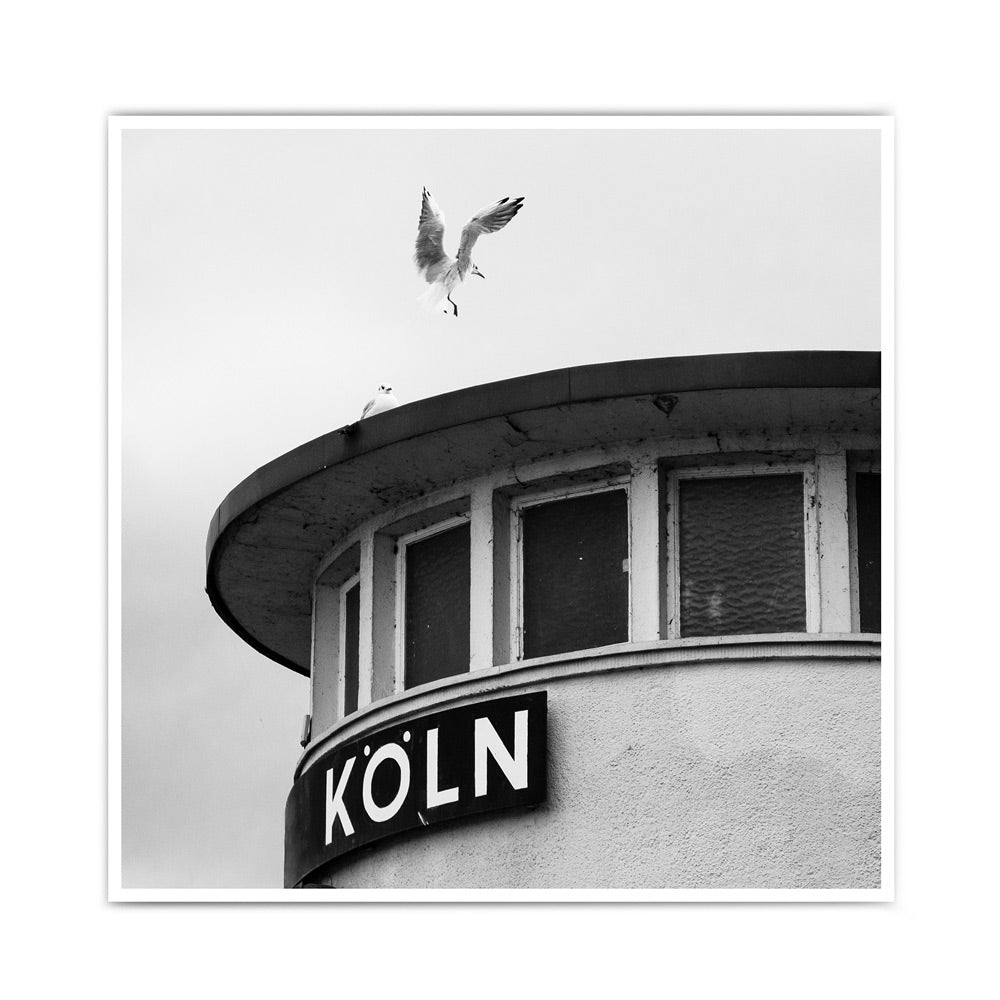 Quadratisches Köln Poster in schwarz weiß mit einer Möwe die auf einer Säule, mit einem Köln Schriftzug, landet.