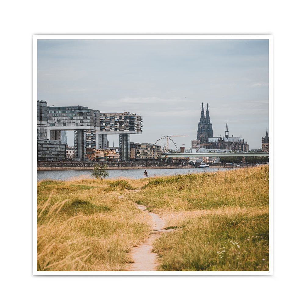 Köln Poster von einem Weg der Richtung Köln führt. Der Rhein, Kölner Dom und Kranhäuser im Hintergrund. Bild im quadratischen Format.