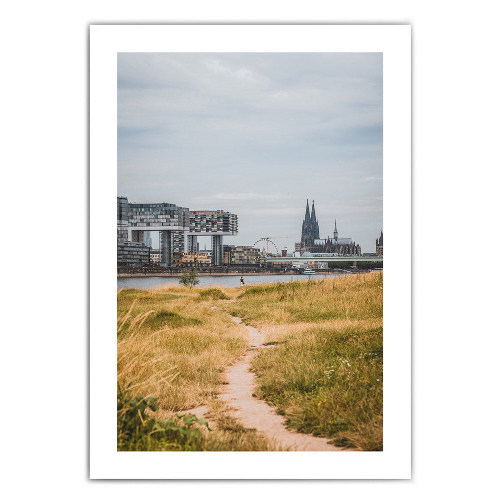 Köln Poster von einem Weg der Richtung Köln führt. Der Rhein, Kölner Dom und Kranhäuser im Hintergrund. Bild mit weißen umlaufenden Rand.
