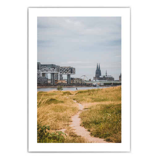 Köln Poster von einem Weg der Richtung Köln führt. Der Rhein, Kölner Dom und Kranhäuser im Hintergrund. Bild mit weißen umlaufenden Rand.