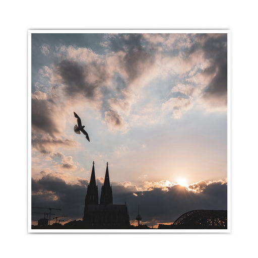 Quadratisches Köln Poster vom Sonnenuntergang über dem Kölner Dom. Über dem Dom fliegt eine Möwe. Kraftvoller blauer Himmel mit Wolken und Sonnenstrahlen.